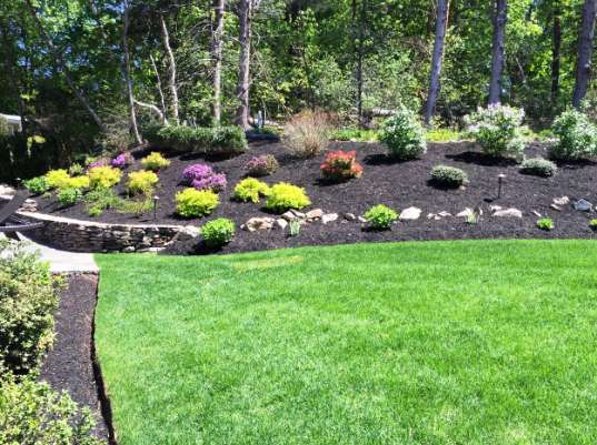 Palos Landscaping | Cypress, TX 77433, USA | Phone: (832) 433-0127