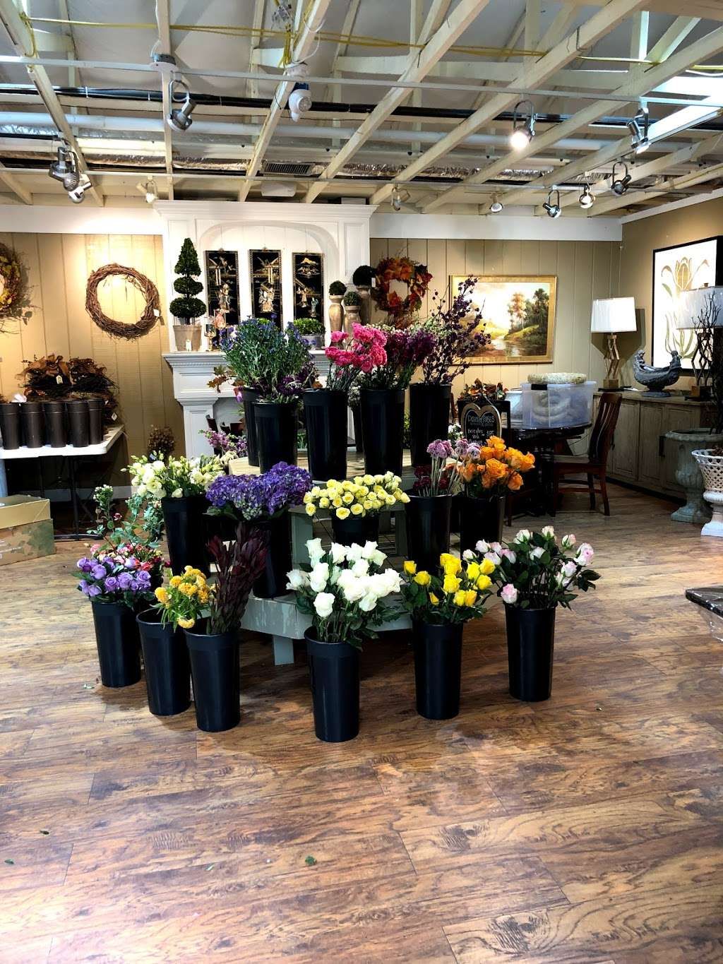 Potomac Petals & Plants | 9545 River Rd, Potomac, MD 20854, USA | Phone: (301) 765-7670