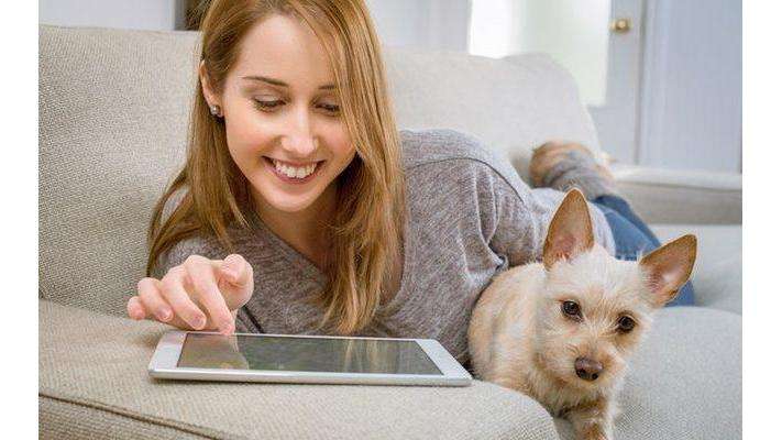 Doggies Gone Wild | 16555 NW 13th Ave, Miami Gardens, FL 33169, USA | Phone: (305) 563-8797