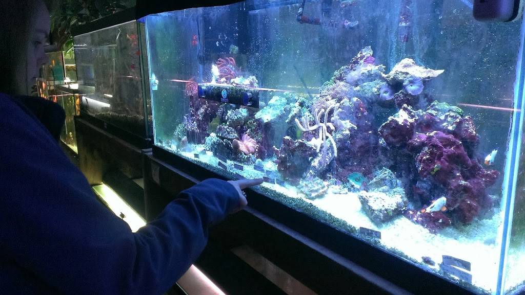 Azalea Aquariums | 5112 Richmond Henrico Turnpike A, Richmond, VA 23227 | Phone: (804) 329-5126