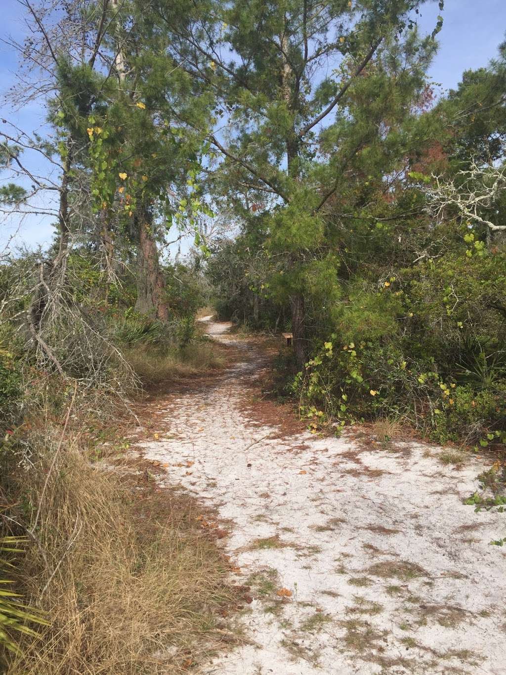 Longhorn Loop Trailhead | Golden Oak, FL 32836, USA | Phone: (407) 254-9038