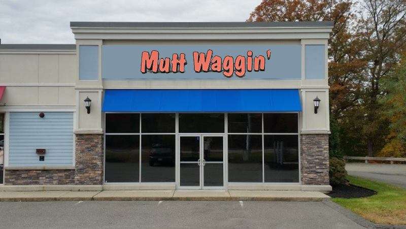 Mutt Waggin Pet Supplies | 80 Taunton St, Plainville, MA 02762, USA | Phone: (508) 316-0708