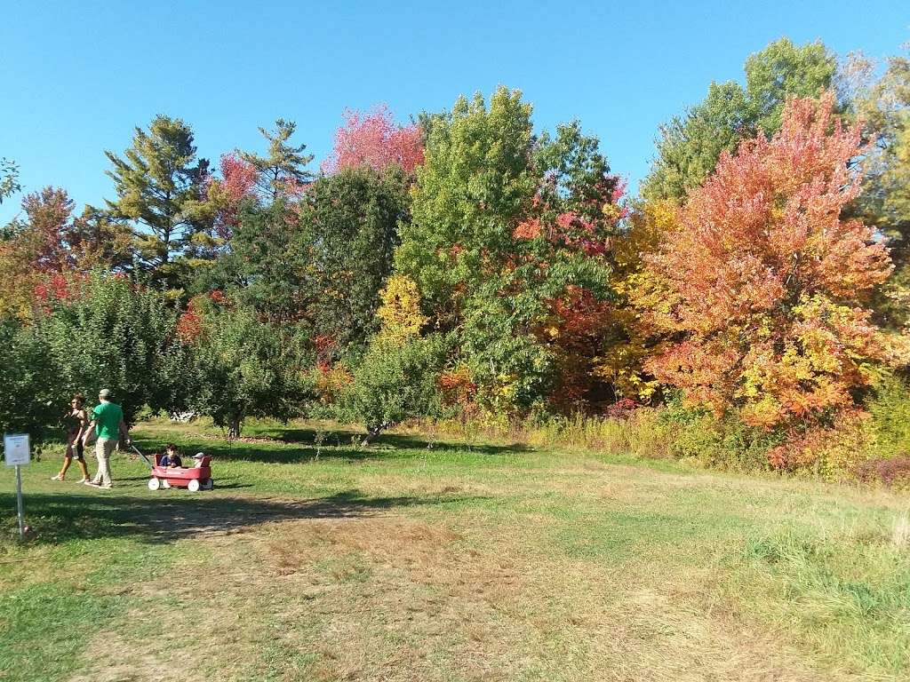 Kimballs Fruit Farm Stand | 184 Hollis St, Pepperell, MA 01463, USA | Phone: (978) 433-9751