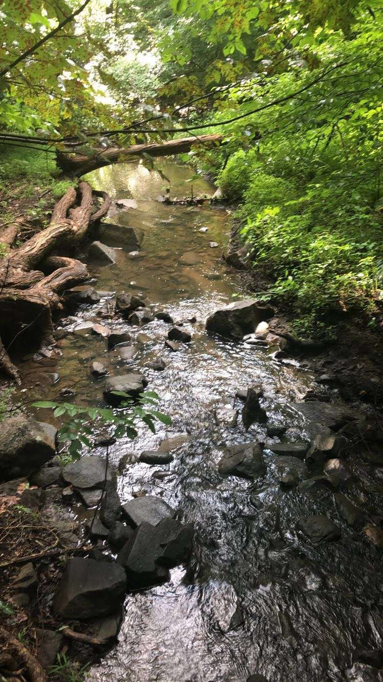 Peanut Leap | Palisades, NY 10964, USA