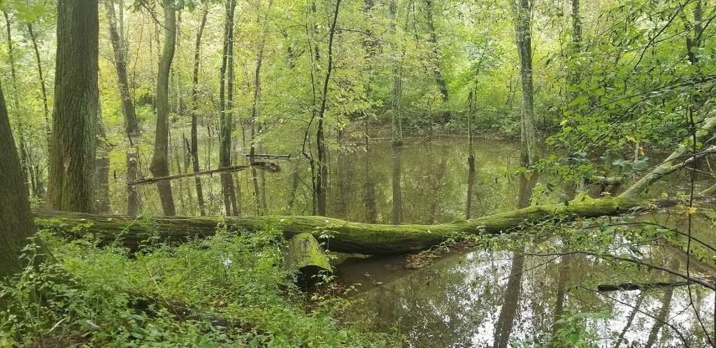 Union Canal, Bicycle & Walking Trail | Plum Creek, Leesport, PA 19533, USA