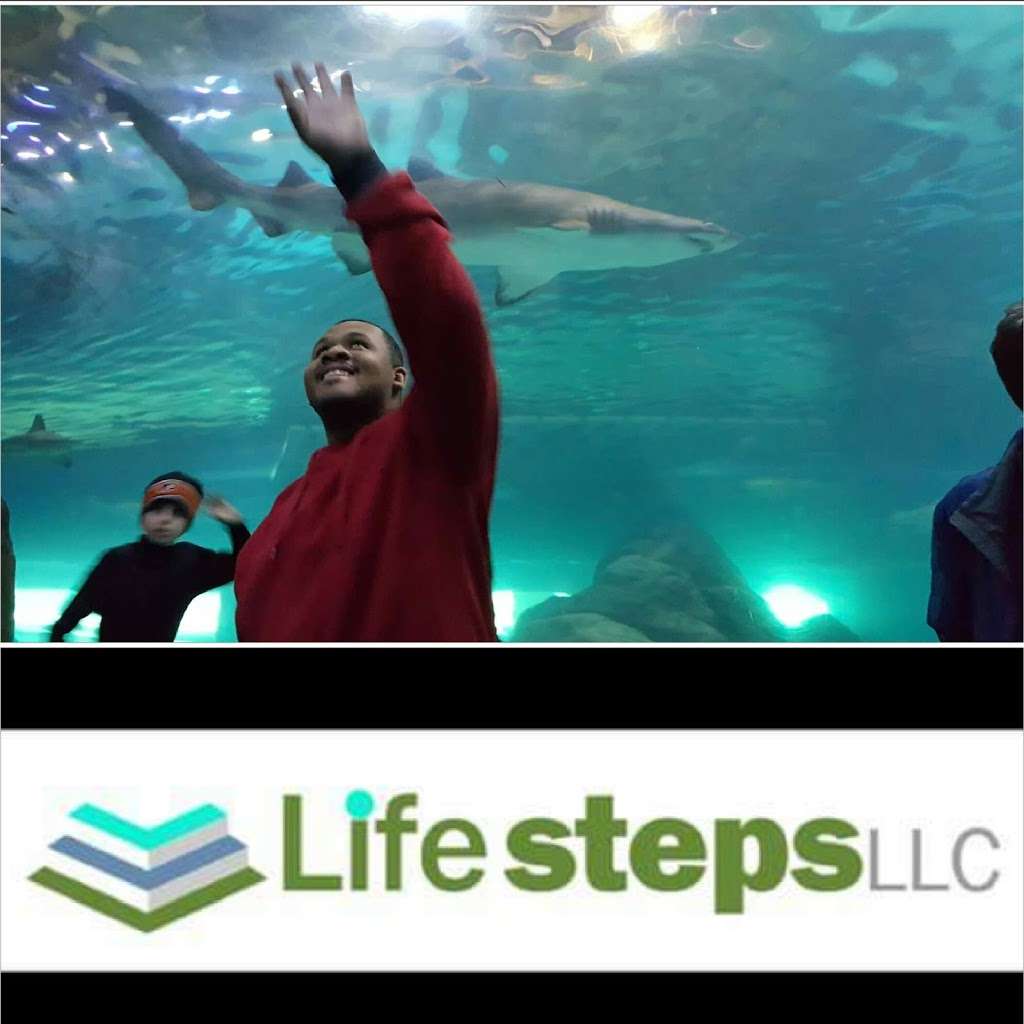 Life Steps Llc 10 Lakeside Ave Cherry Hill Nj 08003 Usa