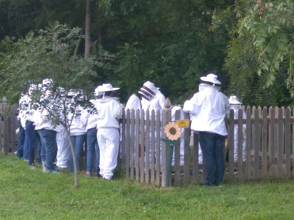 Hillside Honey Apiary | 531 Dawson St, Easton, KS 66020, USA | Phone: (913) 773-0157