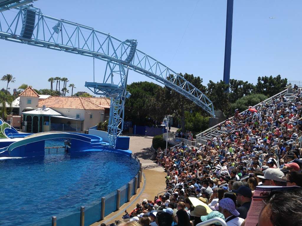 Dolphin Amphitheater | San Diego, CA 92109, USA