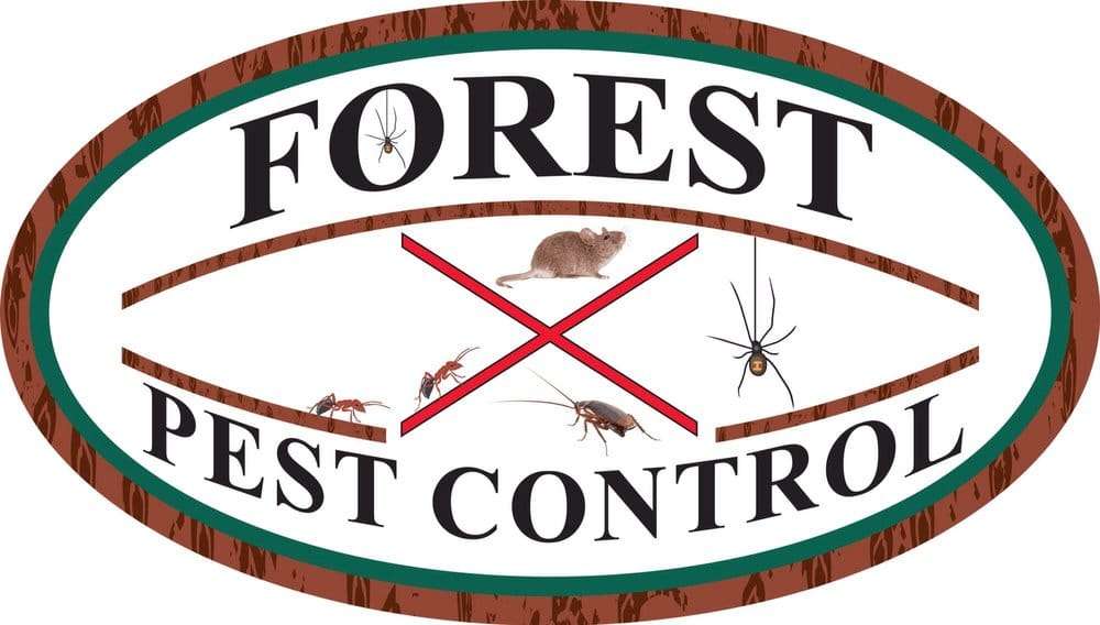 Forest Pest Control | Stored Product Pest Control | 22601 Bear Valley Rd SPC 50, Apple Valley, CA 92308, USA | Phone: (760) 486-7143