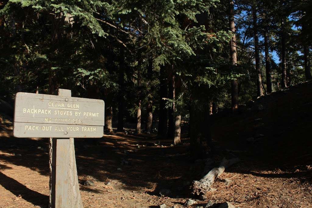 Cedar Glen | Mt Baldy, CA 91759, USA