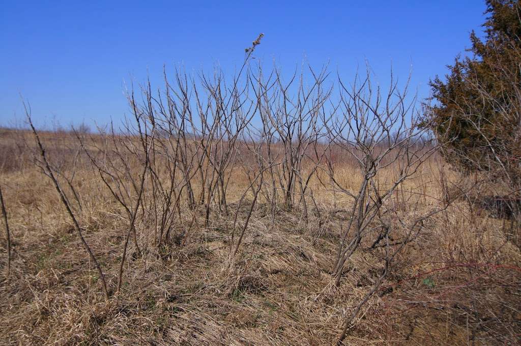 Ralph and Martha Perry Memorial State Wildlife Area | Concordia, MO 64020, USA