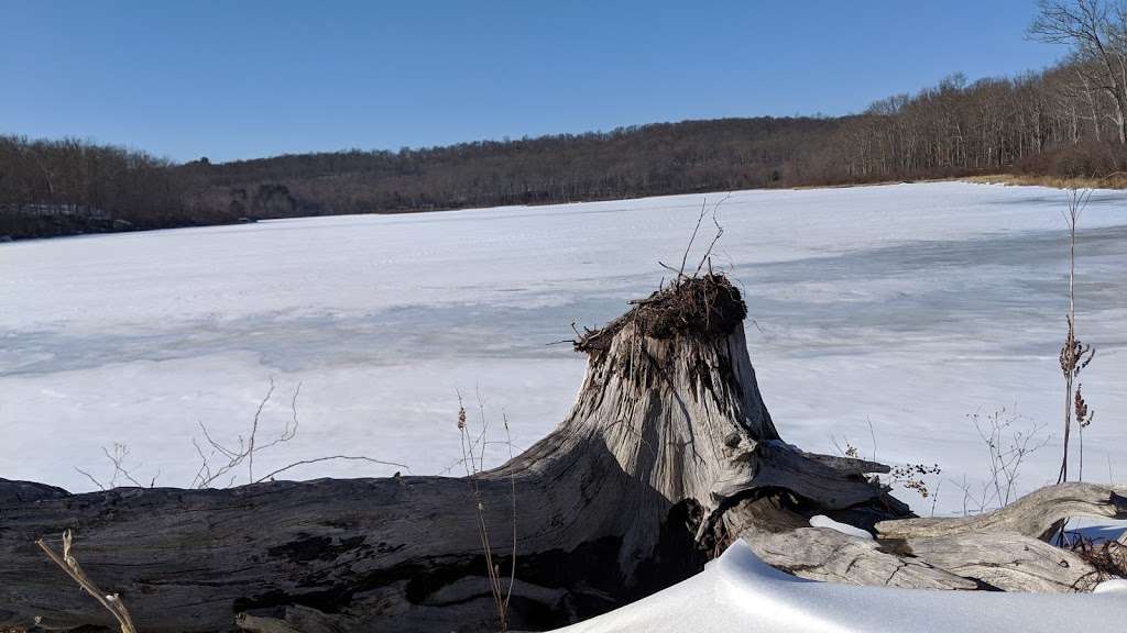 Cobey Pond Trail | Hawley, PA 18428, USA