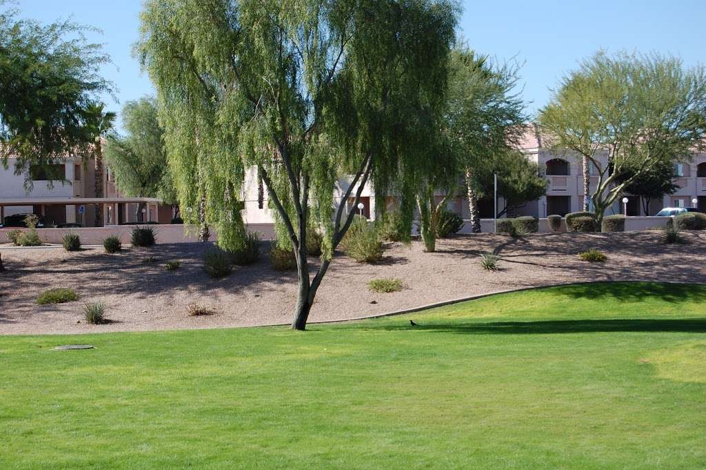 Pioneer Landscape Centers | 23044 N 7th St, Phoenix, AZ 85024, USA | Phone: (623) 780-3076