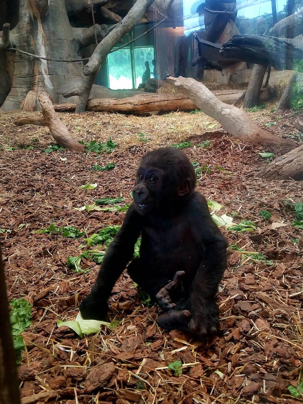 Alaskan Adventure Henry Doorly Zoo | 3701 S 10th St, Omaha, NE 68107, USA | Phone: (402) 733-8400