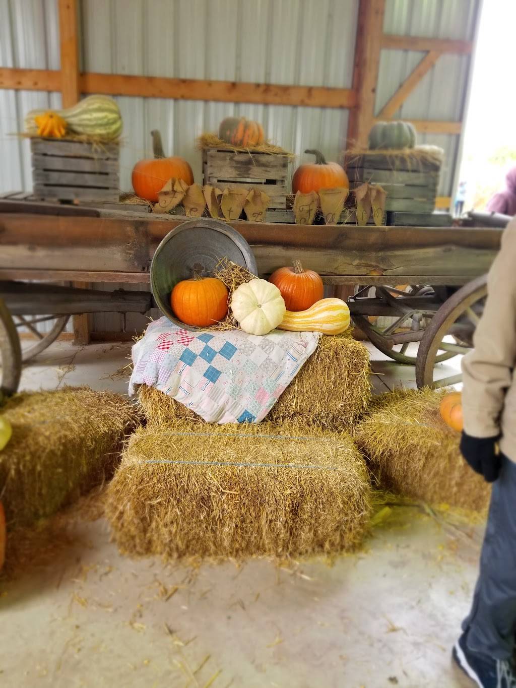 Fleitz Pumpkin Farm | 7133 Seaman Rd, Oregon, OH 43616, USA | Phone: (419) 836-7613