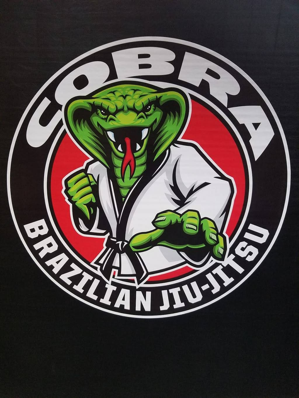 Cobra Brazilian Jiu Jitsu Mansfield | 1275 N Main St #411, Mansfield, TX 76063 | Phone: (682) 422-6456