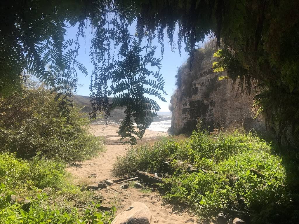 Fern Grotto Beach | Santa Cruz, CA 95060, USA | Phone: (831) 423-9703