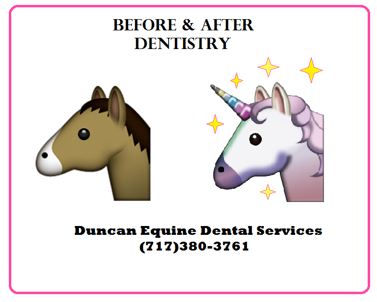 Duncan Equine Dental Services LLC. | 408 Balance Meeting Rd, Peach Bottom, PA 17563, USA | Phone: (717) 380-3761