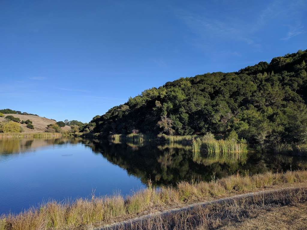Foothills Park | 3300 Page Mill Rd, Los Altos Hills, CA 94022, USA | Phone: (650) 329-2423