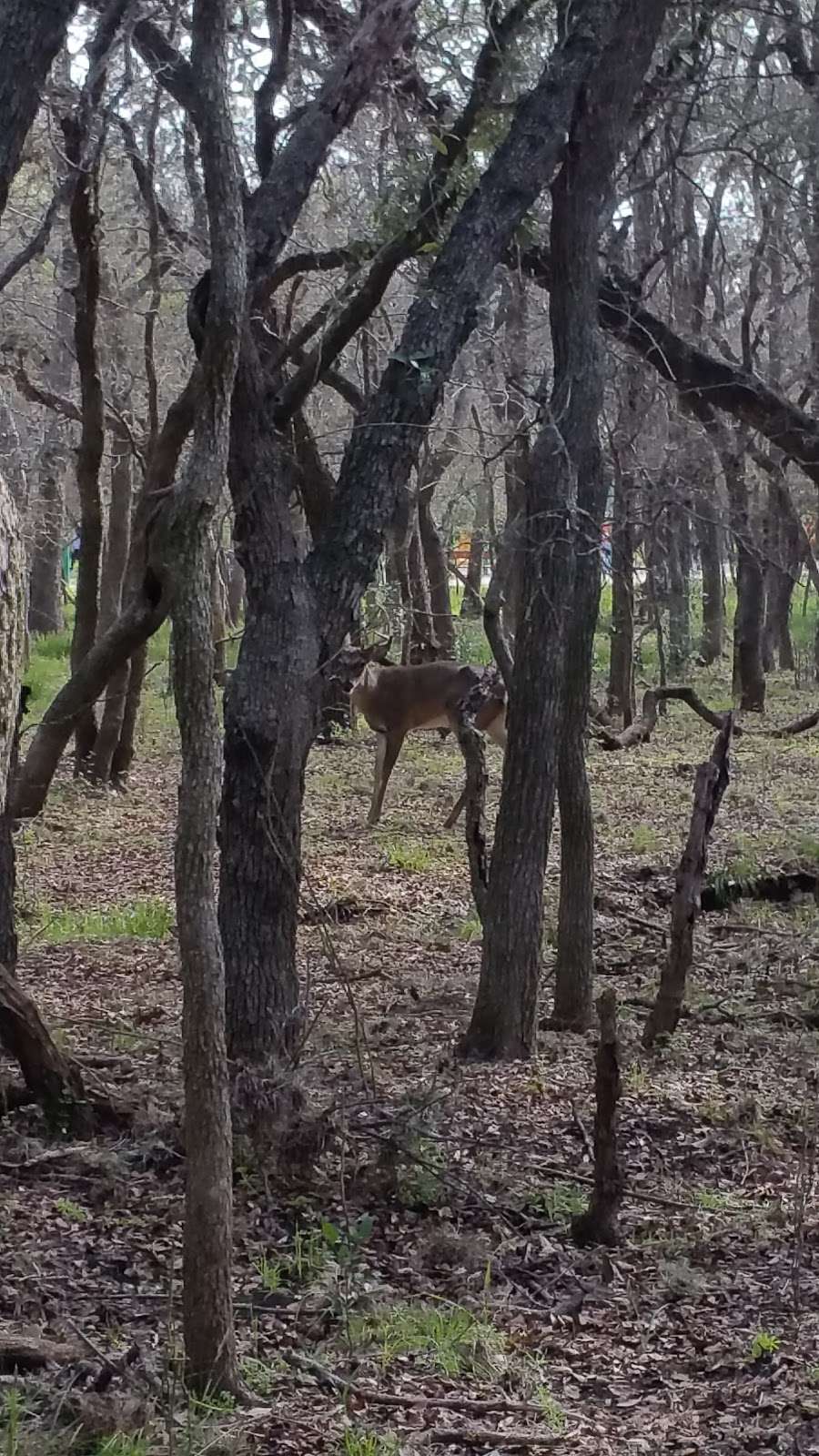 McAllister Park Trailhead | San Antonio, TX 78247, USA | Phone: (210) 207-7275