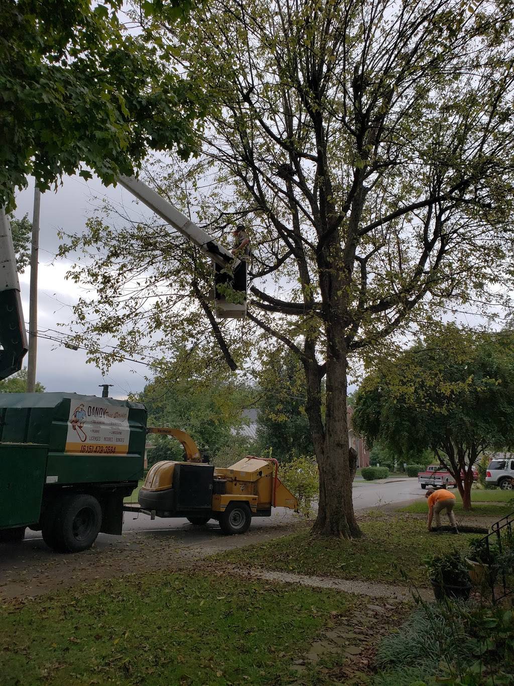 Dandy Tree Service | 3376 Ivey Point Rd, Goodlettsville, TN 37072, USA | Phone: (615) 479-3584