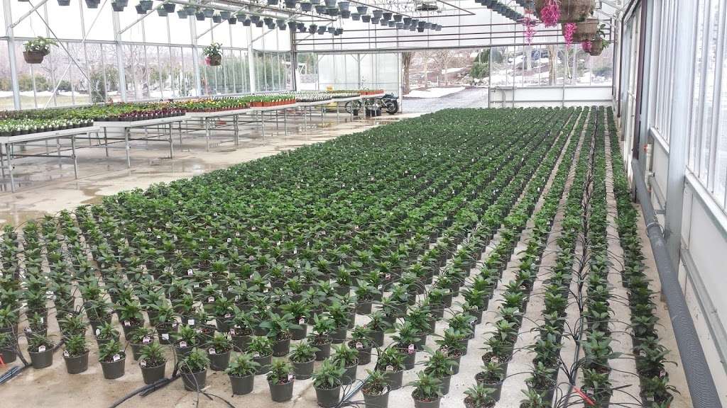 Donaldson Greenhouse & Nursery | 3458, 178 Airport Rd, Hackettstown, NJ 07840 | Phone: (908) 852-7314