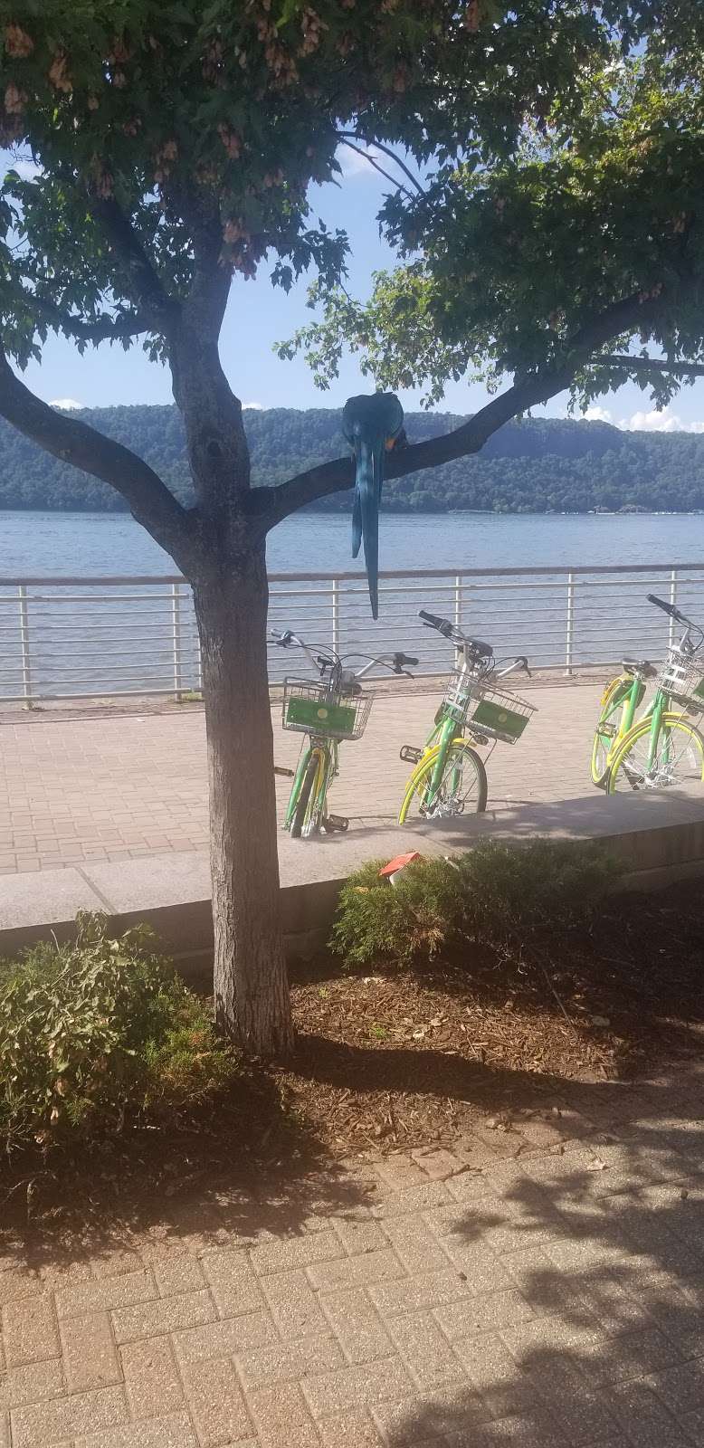 Blue Star Memorial On The Hudson | Yonkers, NY 10705, USA