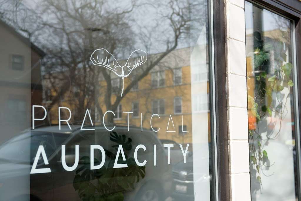 Practical Audacity | 3046 W Armitage Ave, Chicago, IL 60647, USA | Phone: (318) 547-1823