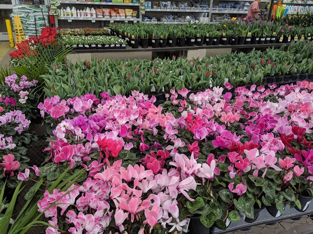 Lowes Garden Center | 7825 Rosedale Hwy, Bakersfield, CA 93308, USA | Phone: (661) 588-6420