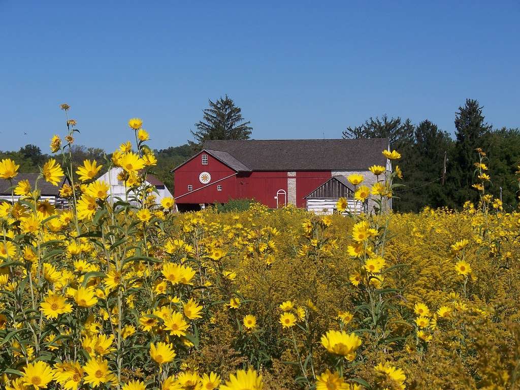 Pennsylvania German Cultural Heritage Center - Tours By Appointm | 22 Luckenbill Rd, Kutztown, PA 19530, USA | Phone: (610) 683-1589