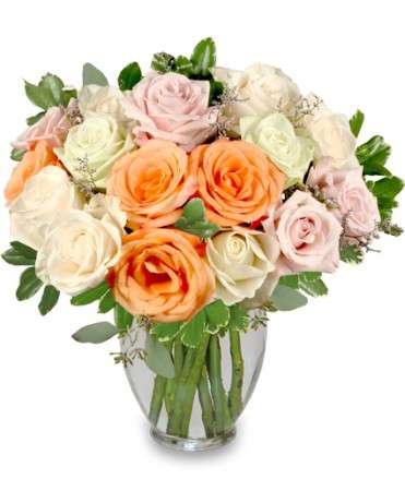 Belleview Florist Inc | 10693 SE 58th Ave, Belleview, FL 34420, United States | Phone: (352) 245-3857