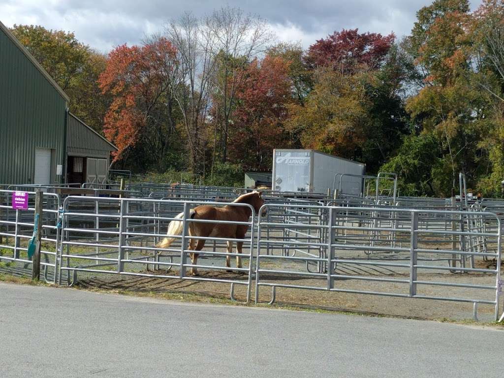 Sweet Meadow Feed & Grain | 111 Coolidge St, Sherborn, MA 01770, USA | Phone: (508) 650-2926