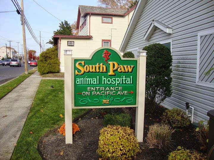 South Paw Animal Hospital | 312 S Main St, Cape May Court House, NJ 08210, USA | Phone: (609) 465-9006