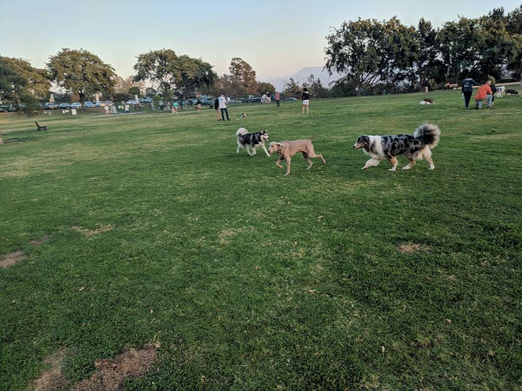 Springville Dog Park | 709 Via Zamora, Camarillo, CA 93010, USA | Phone: (805) 482-1996