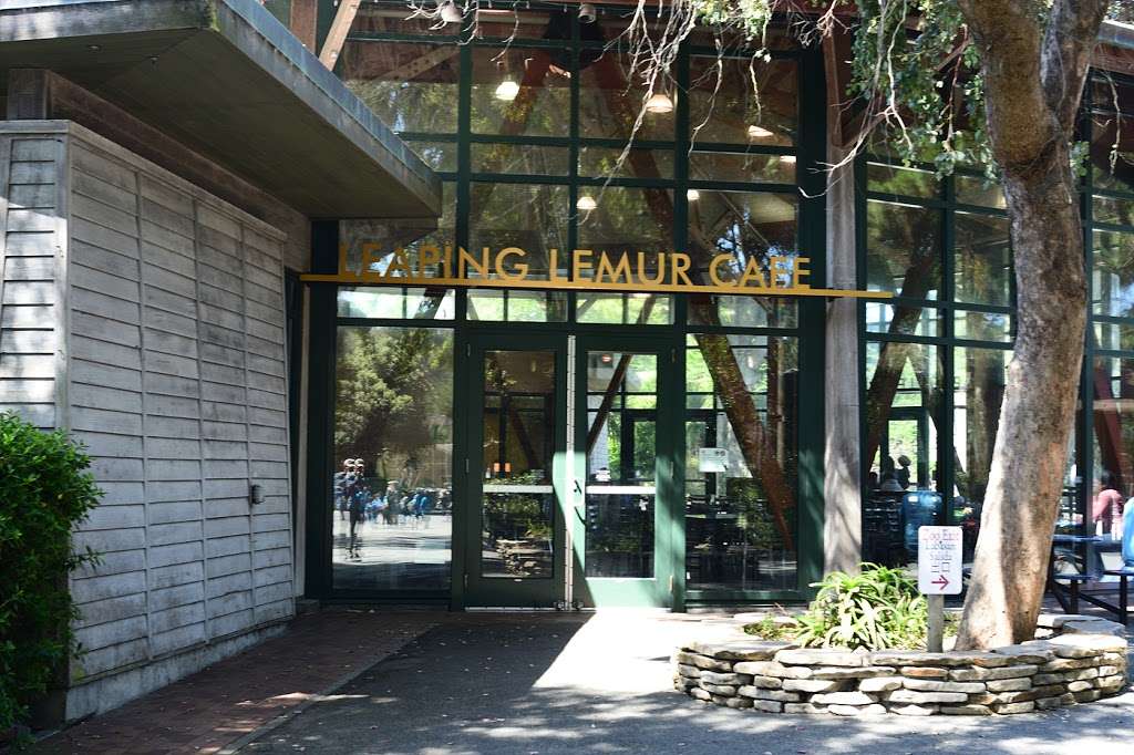 Lemur Cafe | 1 Zoo Rd, San Francisco, CA 94132, USA | Phone: (415) 759-8046