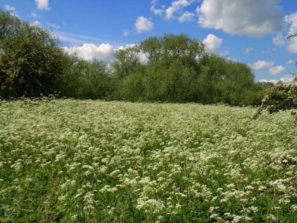 Lee Valley Park | Dobbs Weir Rd, Hoddesdon EN11 0AS, UK