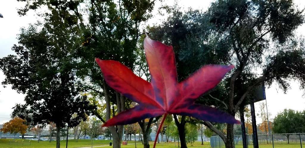 John F Kennedy Park | 1675 E Madison Ave, El Cajon, CA 92019, USA | Phone: (619) 441-1676