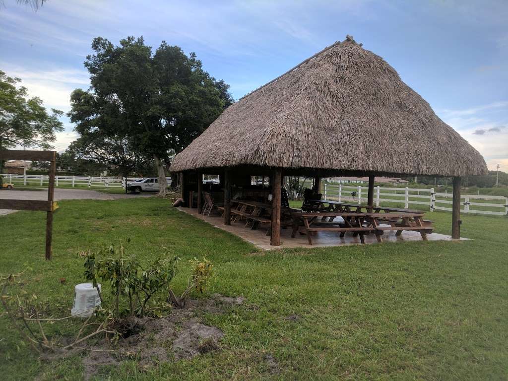 Sunset View Ranches | 2801 SW 148th Ave, Davie, FL 33331, USA | Phone: (954) 681-9305