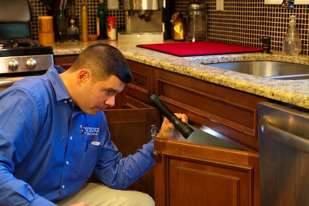 Viking Pest Control 711 E Main St Bridgewater Nj 08807 Usa