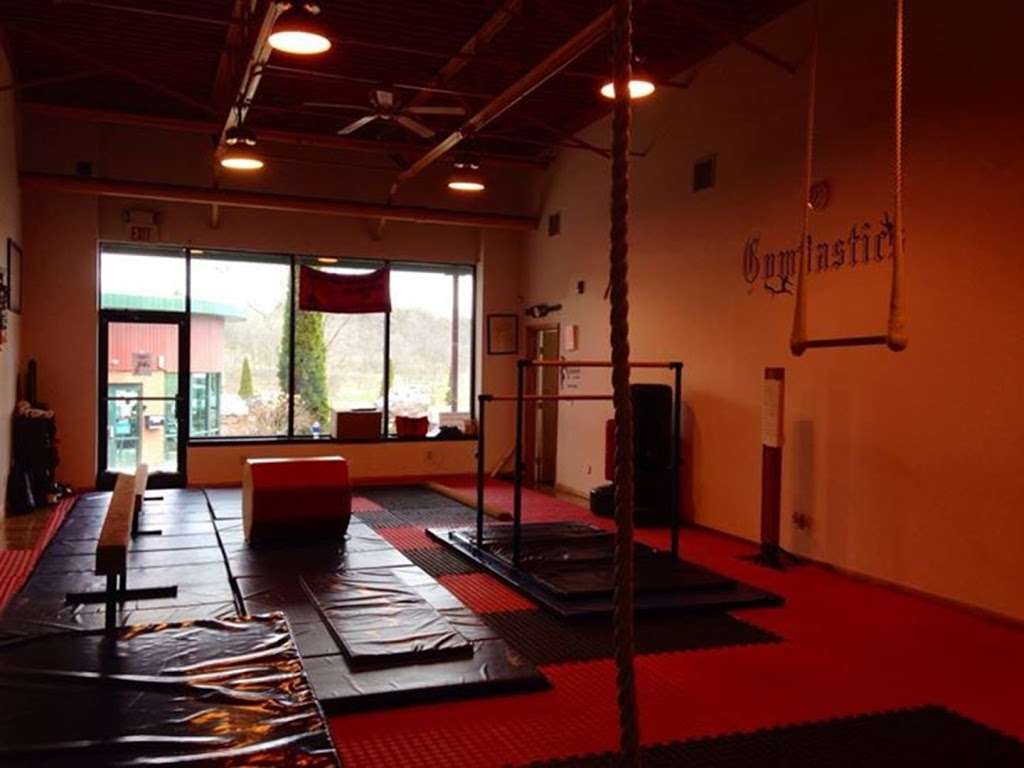 ROCK N ROLL GYMNASTICS ACADEMY LLC | 106 S Lehigh St, Shavertown, PA 18708 | Phone: (570) 592-8638