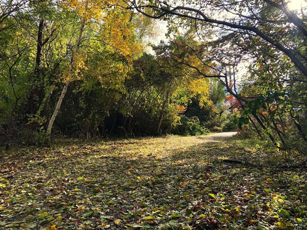 Billings Creek Salt Marsh Trail | Quincy, MA 02171