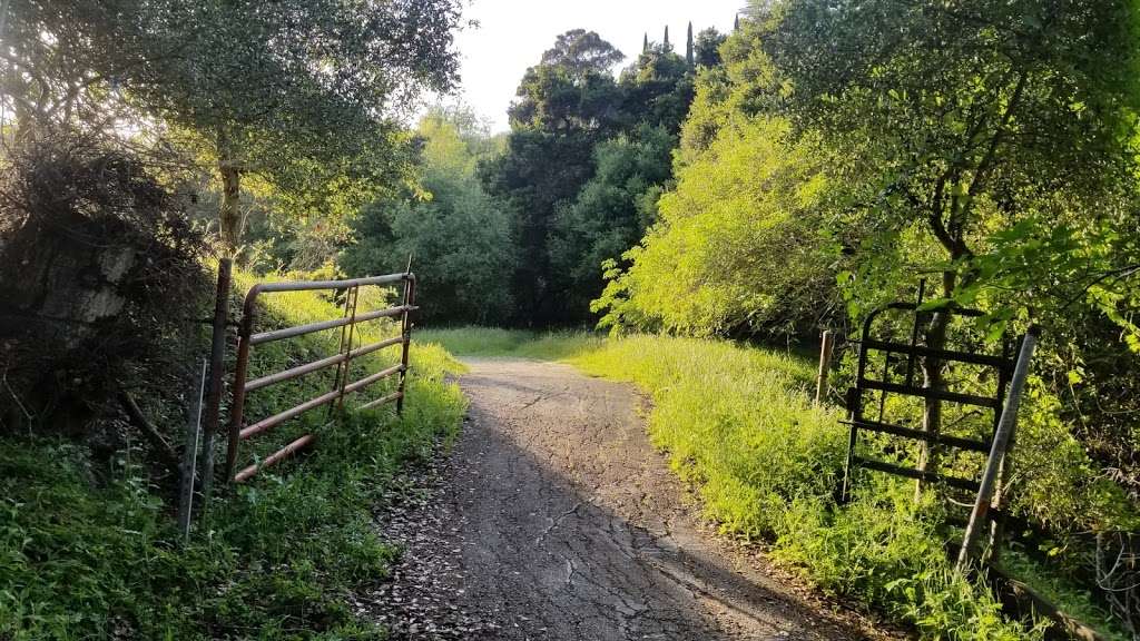 Sabercat Creek Trail | Fremont, CA 94539, USA