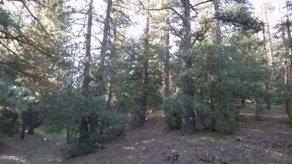 Tehachapi Mountain Park Entrance | 17336 Water Canyon Rd, Tehachapi, CA 93561, USA Tehachapi Mountain Park Entrance | 17336 Water Canyon Rd, Tehachapi, CA 93561, USA