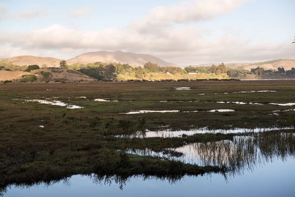 Tomales Bay Ecological Reserve | Point Reyes Station, CA 94956