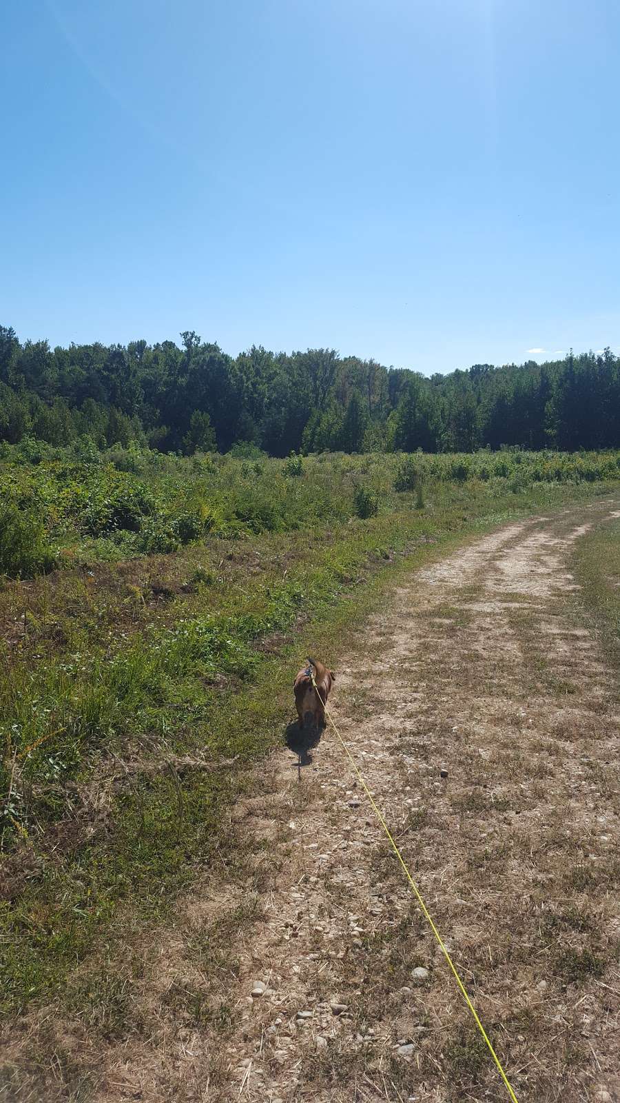 Meadowood Recreation Area Parking | 10223 Old Colchester Rd, Lorton, VA 22079, USA