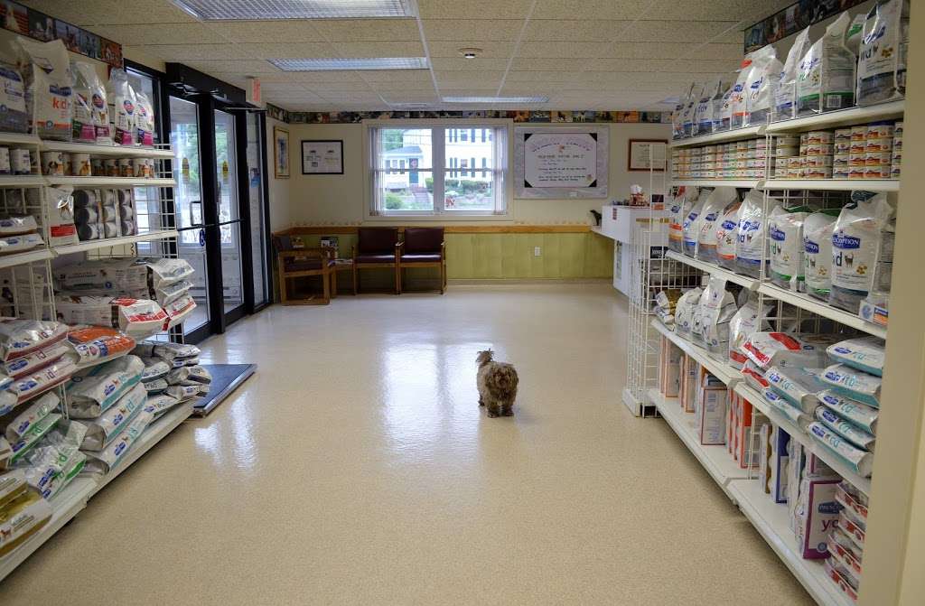 Merrimac Valley Animal Hospital | 26 Haverhill Rd, Amesbury, MA 01913, USA | Phone: (978) 388-3074