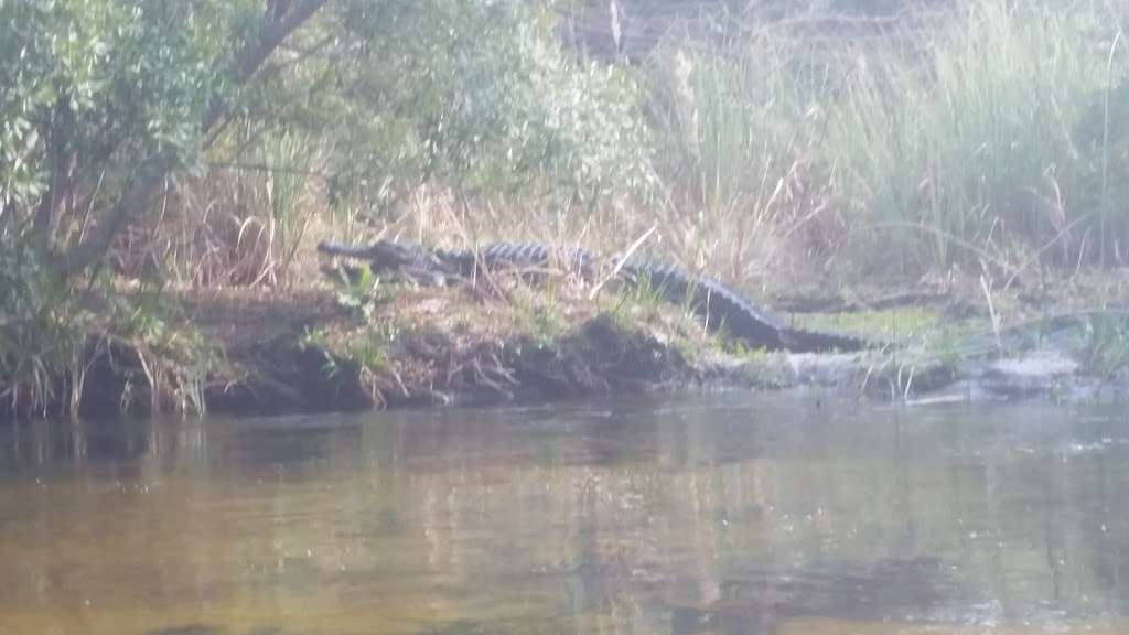 Juniper Springs Recreation Area | Florida, USA