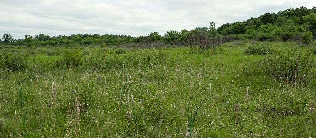 Clover Valley Fen | Hi Lo Rd, Whitewater, WI 53190, USA | Phone: (608) 266-2621
