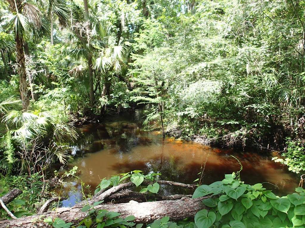 Bear Creek Nature Trail | 1555 Winter Springs Blvd, Winter Springs, FL 32708