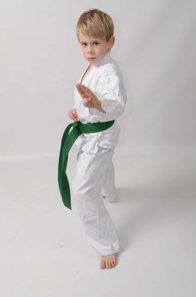 White Tiger Shotokan Karate | 273 Gander Green Ln, Sutton SM1 2HD, UK | Phone: 07932 590566